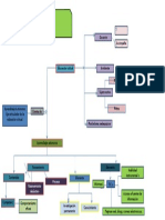 Mapa Conceptual