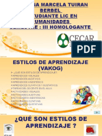 Estilos de Aprendizaje (Vakog)