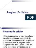 1. Respiracion Celular.