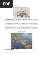 Download Makalah Budidaya Ikan Mas by Robby DarkElf SN310812625 doc pdf