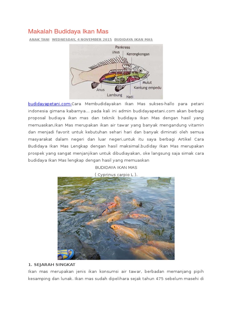 Makalah Budidaya Ikan Mas