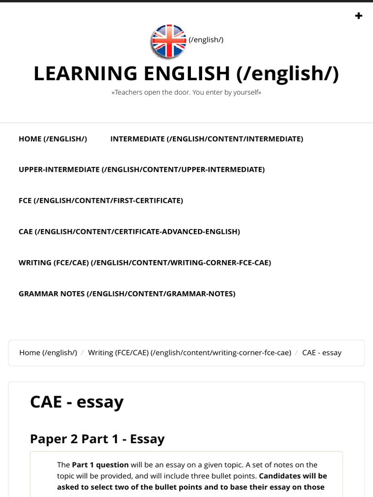 essay format cae