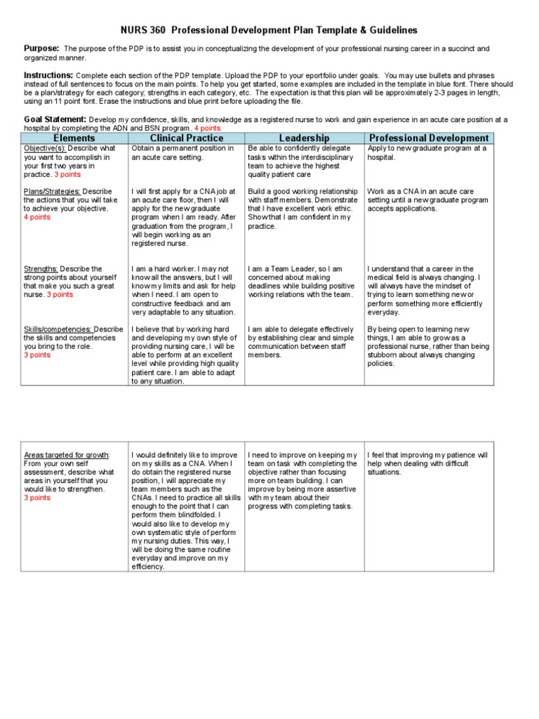 NURS 360 Professional Development Plan Template & Guidelines | PDF ...