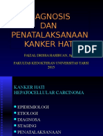 Diagnosis DAN Penatalaksanaan Kanker Hati: Faizal Drissa Hasibuan, SPPD Fakultas Kedokteran Universitas Yarsi 2013
