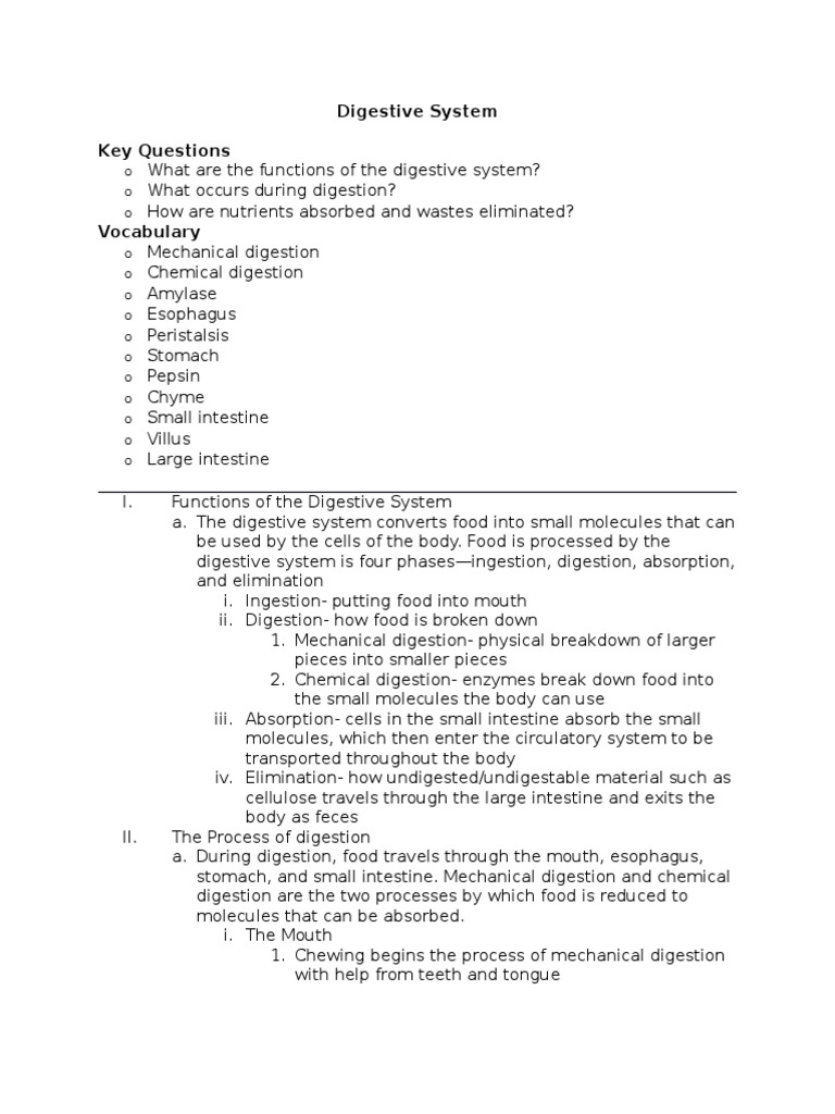 Digestive system outline  Digestion  Stomach