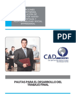 Pautas para Trabajos Finales.pdf