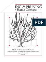 Training and Pruning Your Home Orchard