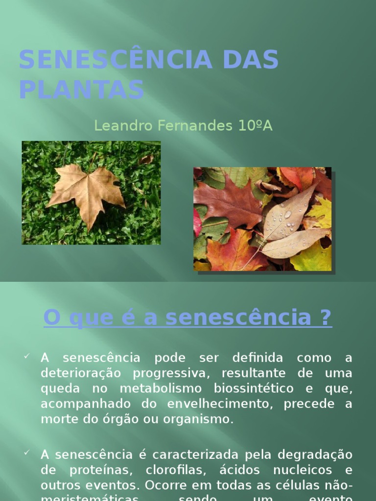 Senescência em Plantas: Definições e Tipos | PDF | Plantas | Folha