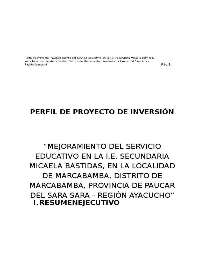 Perfil de Proyecto de Inversión | PDF | Beneficio (economía) | Gobierno