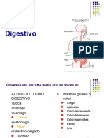 Sistema_Digestivo.ppt