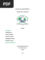 Download Makalah fisika-optik dan cahayadocx by Cella Mboeik II SN310883114 doc pdf