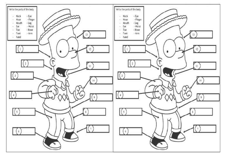 Body Parts Exercise Bart Simpson | PDF