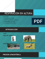 Respiración en Altura