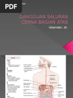 Gangguan Saluran Cerna Bagian Atas