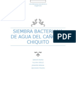 Informe Siembra Bacteriana