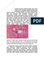 Histologi Hati Dan Vesica Velea