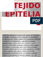 TEJIDO EPITELIAL