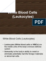 06. White Blood Cells