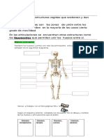 Sistema Locomotor