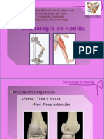 3.-Semiologia de La Rodilla.