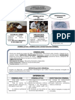 Campos de la criminalística, criminología e investigación criminal