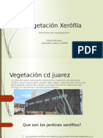 Vegetacion Zerofila