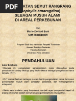 Download Pemanfaatan Semut Rangrang Di Areal Perkebunan by Mario Donald Bani SN31098831 doc pdf