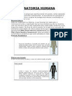 Anatomia Humana.pdf