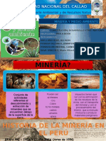  Ambiente y Minería 