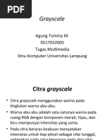 Download Presentation1 grayscale by Bukan Siapa Siapa SN31099816 doc pdf