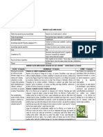 Anexo n12 - Ejemplos de Planificacion de Experiencias de Aprendizaje PDF