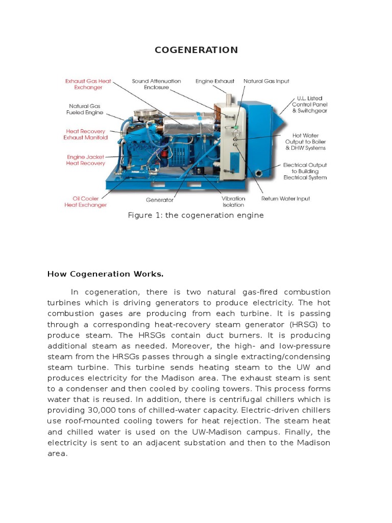 How Cogen Works | PDF