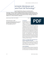 Polymer Electrolyte Membrane and Direct Methanol Fuel Cell Technology