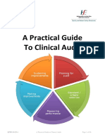 practicalguideclaudit2013.pdf