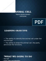 Animal Cell: Fatema Abdulla Alshehhi H00250048