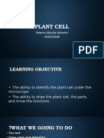 Plant Cell: Fatema Abdulla Alshehhi H00250048