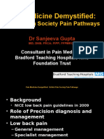 Pain Pathways Presented in November 2015