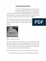 Download Polymerase Chain Reaction by Raghvendra Sachan SN31103014 doc pdf
