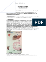 Ictericia No Neonato Parte i