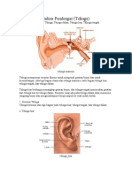 Materi Telinga Kelas 4