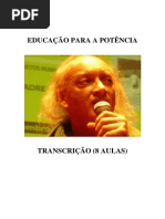 Educação Para Potência (8 Aulas) - Luiz Fuganti