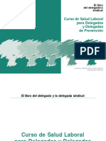 93738353-curso-sindical.pdf