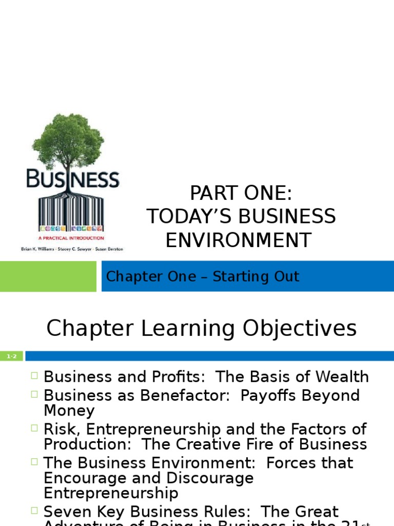 Chap 1. Introduction and Business Environment | PDF | Personal ...