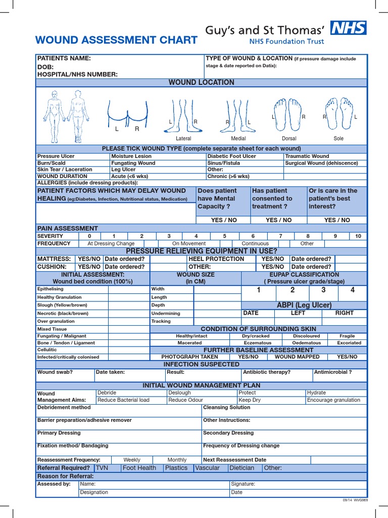 Wound Assessment Chart | Wound | Health Sciences