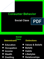 Consumer Behavior: Social Class