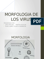 Morfologia de Los Virus