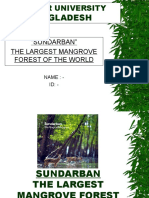 Bangladesh: "Sundarban" The Largest Mangrove Forest of The World