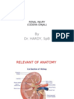 By Dr. Hardy, SPB: Renal Injury (Cedera Ginjal)