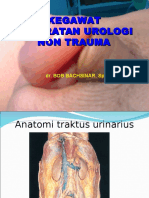 Kedaruratan Urologi Non Trauma