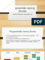 Filogenetski Razvoj Života